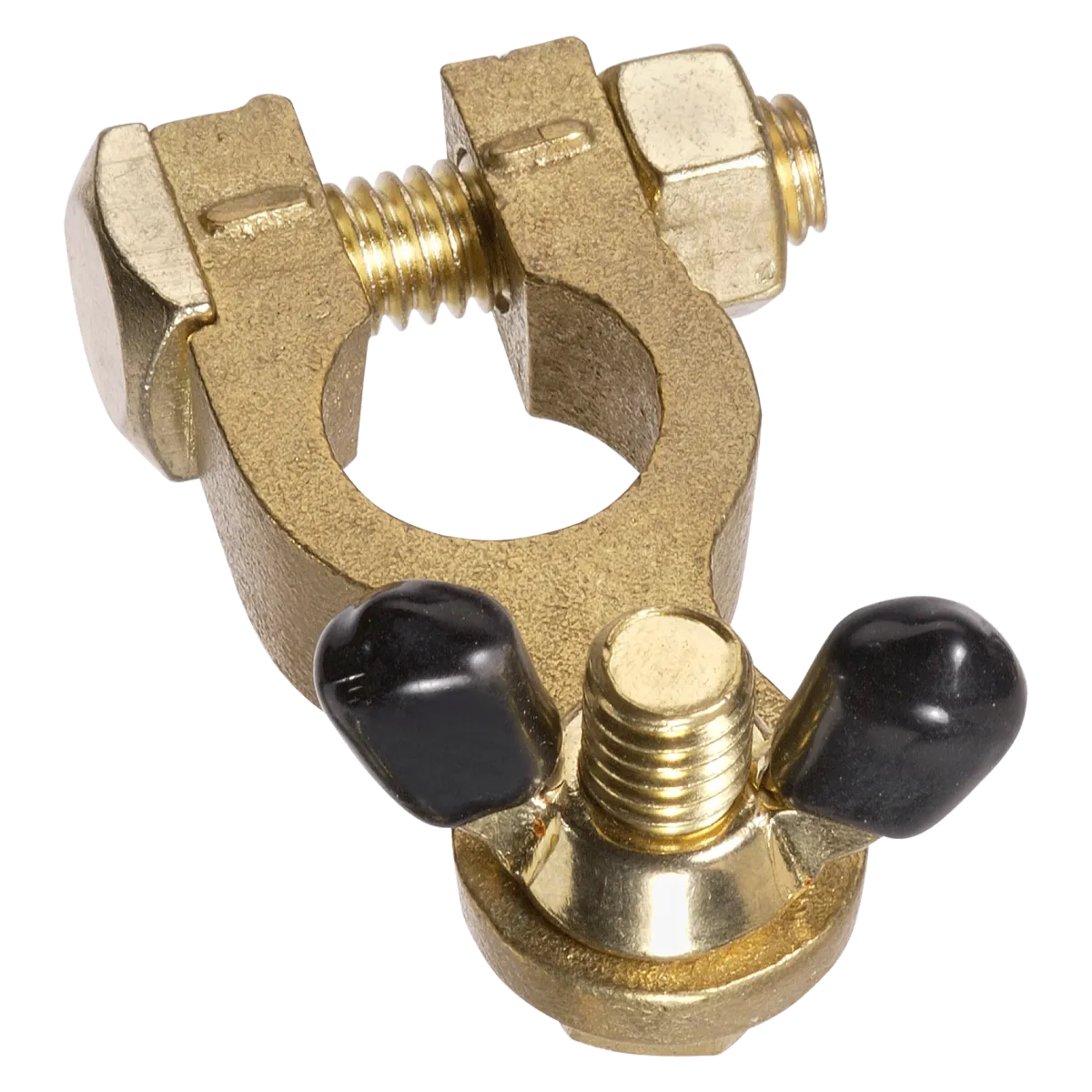 Projecta Brass Battery Terminal Wingnut Negative 5/16" (8mm) Stud