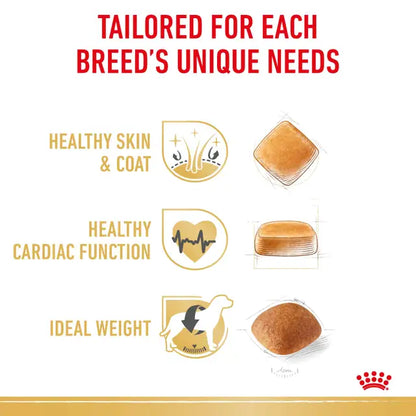 Royal Canin 12kg Golden Retriever Adult Dog Food