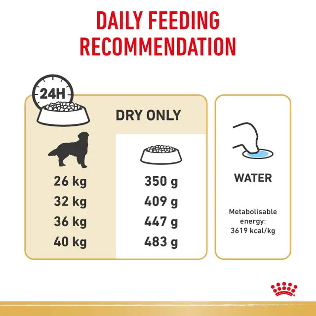 Royal Canin 12kg Golden Retriever Adult Dog Food