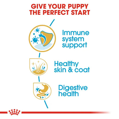 Royal Canin 12kg Golden Retriever Puppy Dog Food
