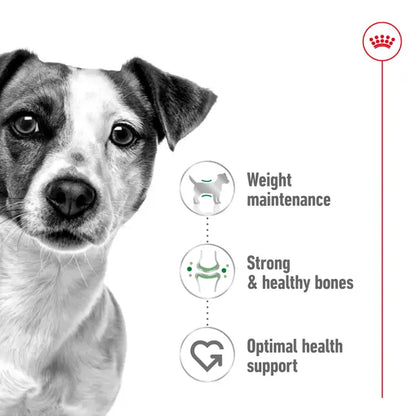 Royal Canin 8kg Mini Adult Dog Food