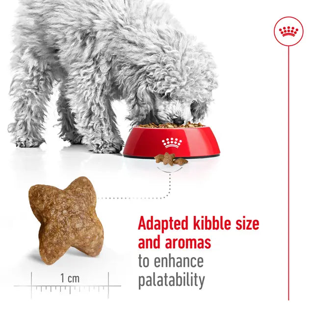 Royal Canin 8kg Mini Adult Dog Food