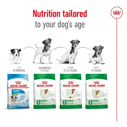 Royal Canin 8kg Mini Adult Dog Food