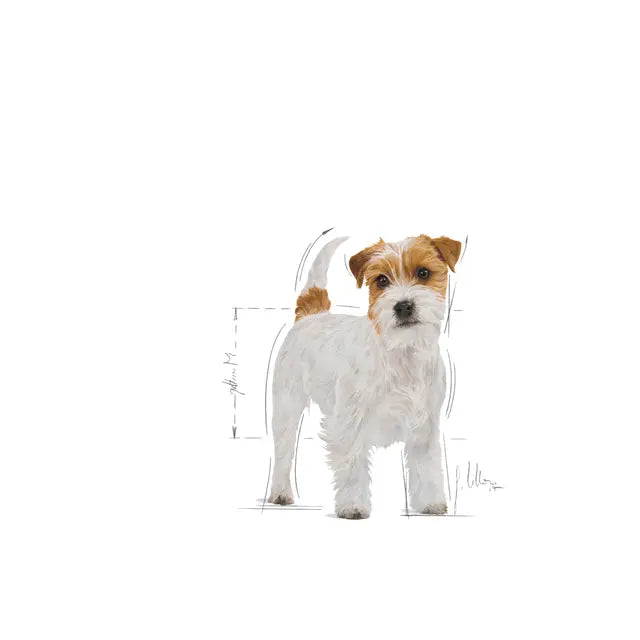 Royal Canin 7.5kg Jack Russell Terrier Adult Dog Food