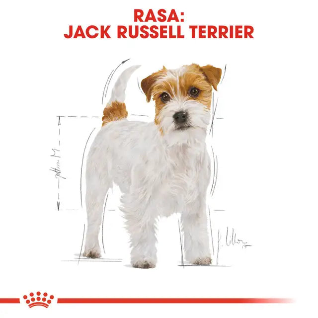Royal Canin 7.5kg Jack Russell Terrier Adult Dog Food