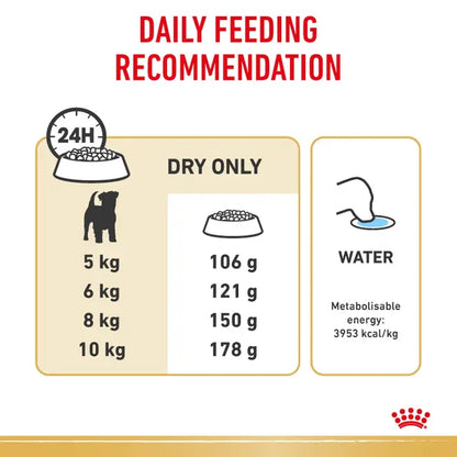 Royal Canin 7.5kg Jack Russell Terrier Adult Dog Food