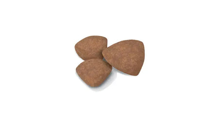 Royal Canin 4kg Mini Puppy Dog Food