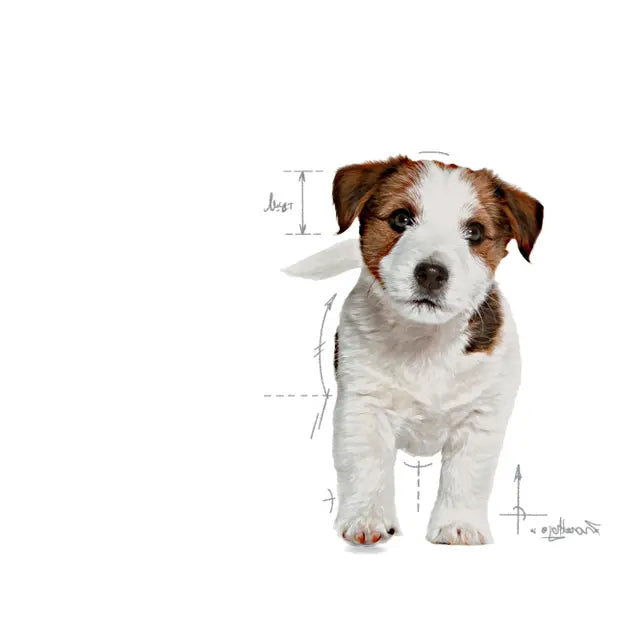 Royal Canin 4kg Mini Puppy Dog Food