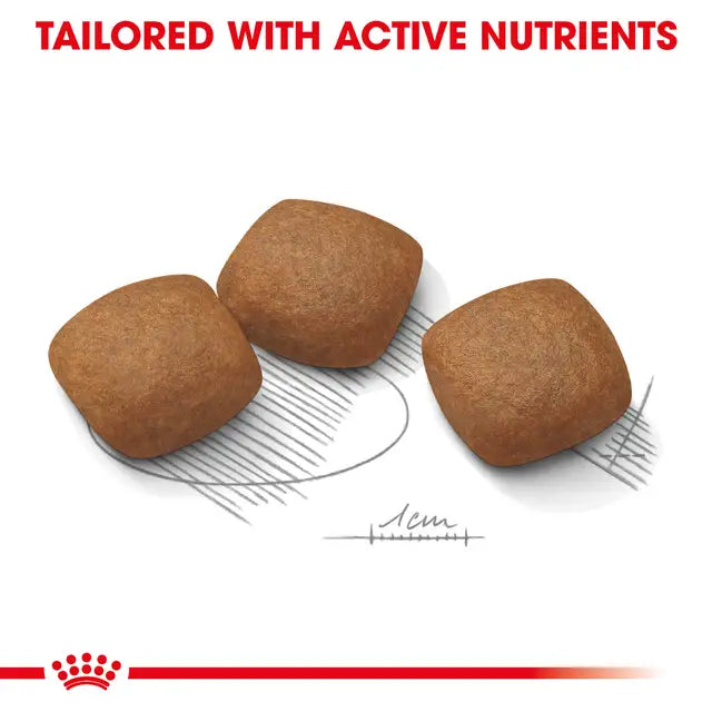 Royal Canin 10kg Maxi Joint Care Dog Food
