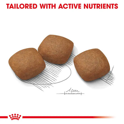 Royal Canin 10kg Maxi Joint Care Dog Food