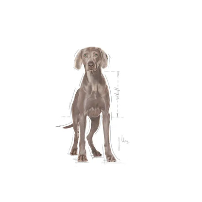 Royal Canin 3kg Maxi Relax Care Dog Food