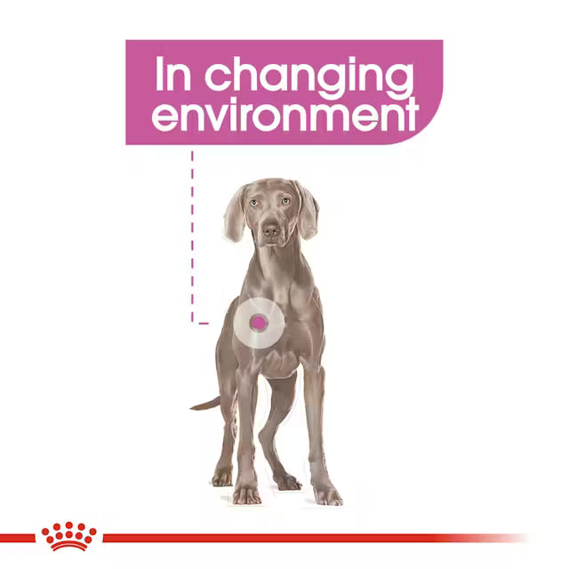 Royal Canin 3kg Maxi Relax Care Dog Food