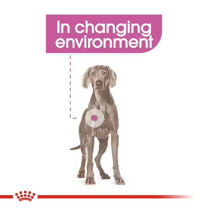 Royal Canin 3kg Maxi Relax Care Dog Food