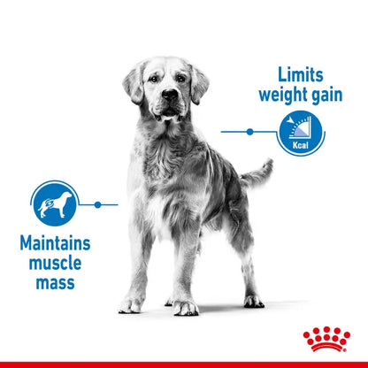 Royal Canin 12kg Maxi Light Weight Care Adult Dog Food