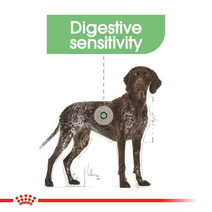 Royal Canin 12kg Maxi Digestive Care Adult Dog Food