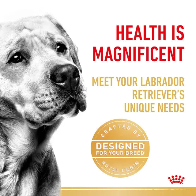Royal Canin 12kg Labrador Retriever Adult Dog Food