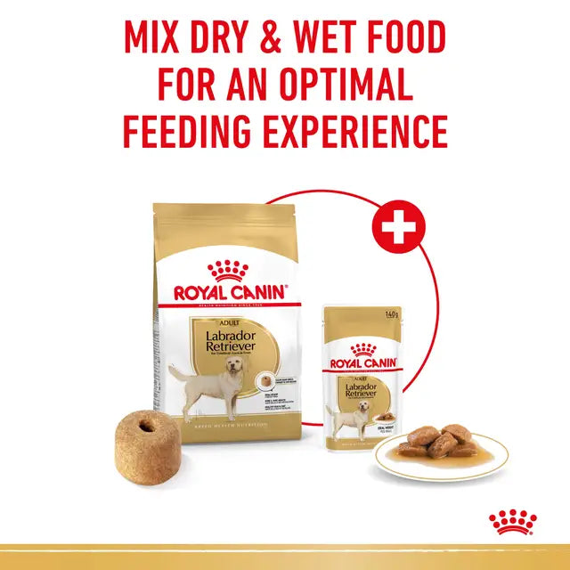 Royal Canin 12kg Labrador Retriever Adult Dog Food