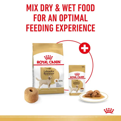 Royal Canin 12kg Labrador Retriever Adult Dog Food