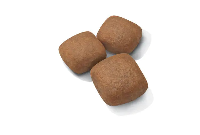 Royal Canin 15kg Giant Junior Puppy Dog Food