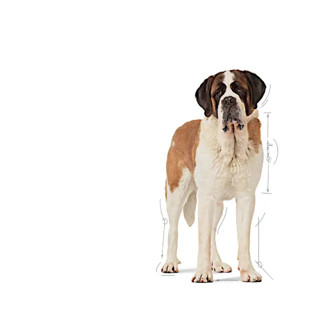Royal Canin 15kg Giant Junior Puppy Dog Food