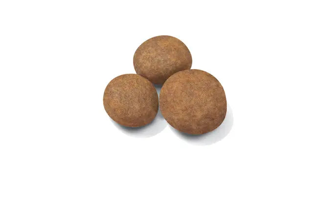 Royal Canin 15kg Maxi Puppy Dog Food