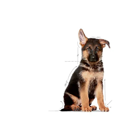 Royal Canin 15kg Maxi Puppy Dog Food
