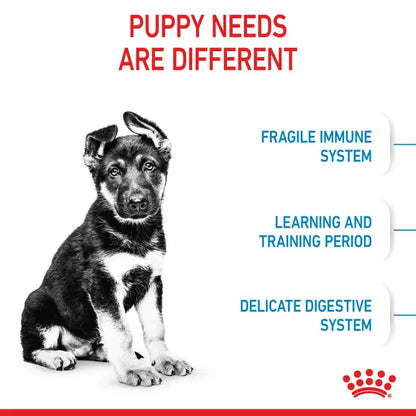 Royal Canin 15kg Maxi Puppy Dog Food