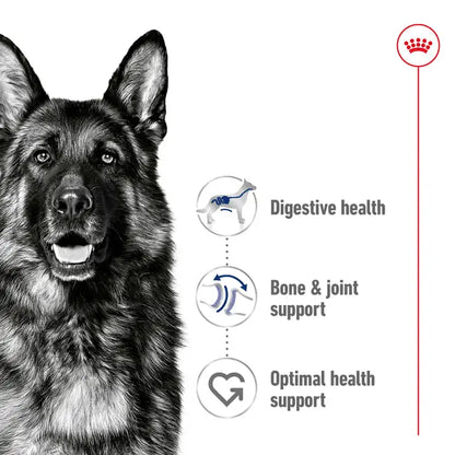 Royal Canin 15kg Maxi Adult Dog Food