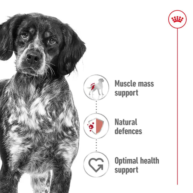 Royal Canin 15kg Medium Adult Dog Food