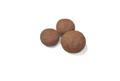 Royal Canin 15kg Medium Puppy Dog Food
