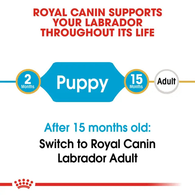 Royal Canin 12kg Labrador Retriever Puppy Dog Food