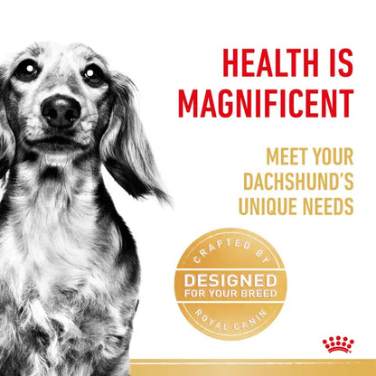 Royal Canin 85g Dachshund Loaf Adult Dog Food