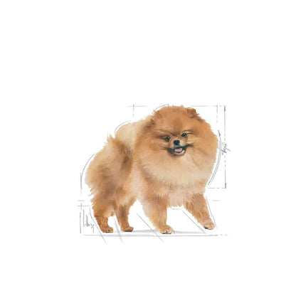 Royal Canin 85g Pomeranian Loaf Adult Dog Food